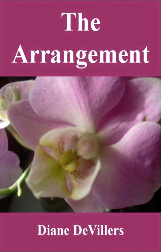 The Arrangement by Diane DeVillers