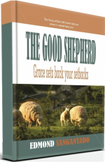 The Good Shepherd: Grace sets back your setbacks
