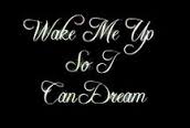 Wake me up so I can Dream