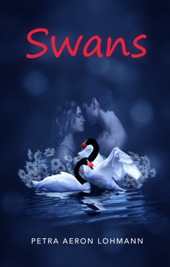 Swans - Opener