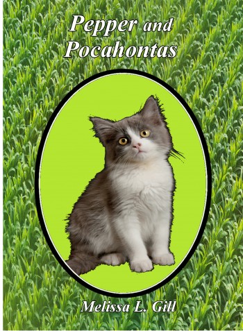 Powhatan Wants a Cat?