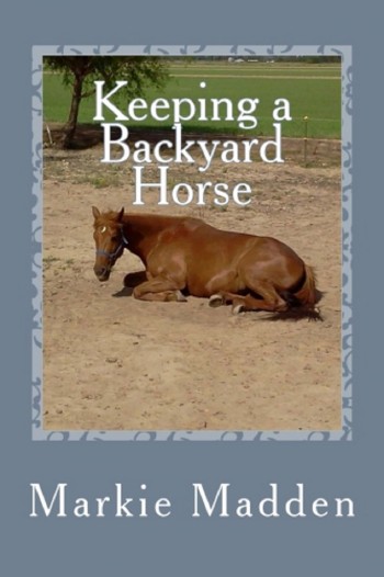 Keeping a Backyard Horse