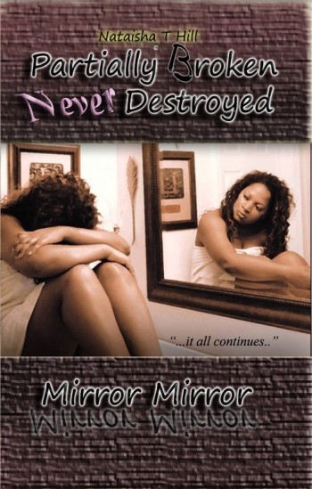 Partially Broken Never Destroyed II: Mirror Mirror
