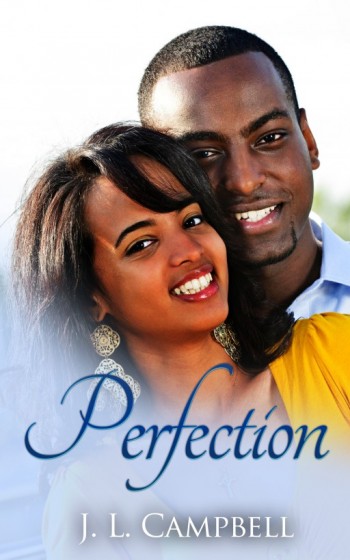 Perfection (Book 1 - Sisters-in-Love Series)