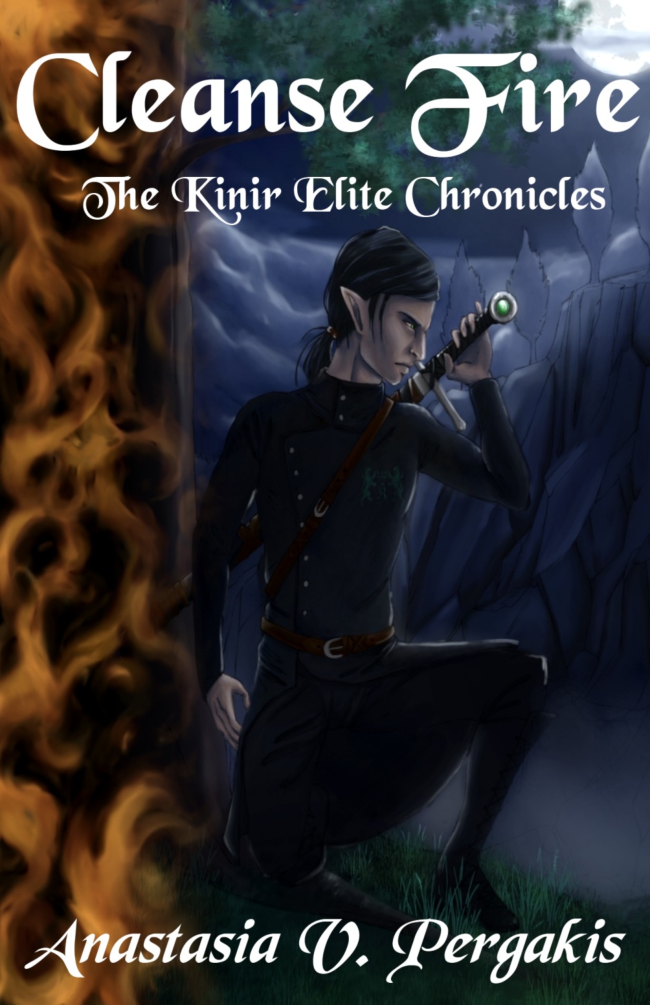 Cleanse Fire: The Kinir Elite Chronicles
