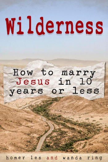 Wilderness - How to Marry Jesus in 10 Years or Less