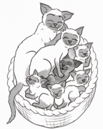 KittensBasket