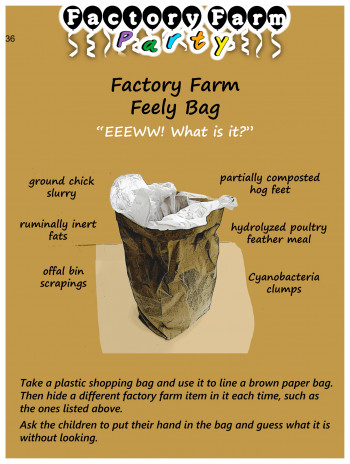 “Factory Farm Feely Bag”