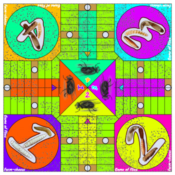 “Farm-cheesi Board Game”